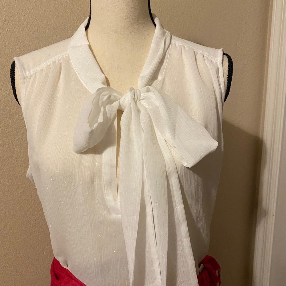 Calvin Clain Blouse